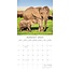 Calendario Elefante 2025