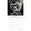 Wild Portraits Calendar 2025