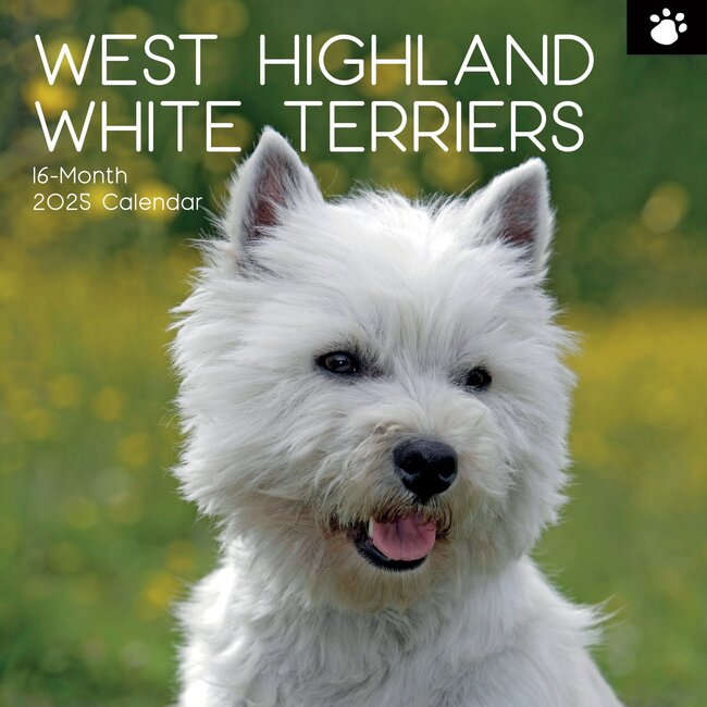 Calendrier West Highland White Terrier 2025