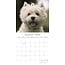 West Highland White Terrier Calendario 2025