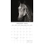 Calendrier des portraits de chevaux 2025