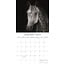 Horse Portraits Calendar 2025