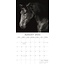 Calendrier des portraits de chevaux 2025