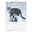 Cat Calendar 2025