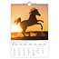 Photo Horses Kalender 2025