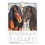 Photo Horses Kalender 2025