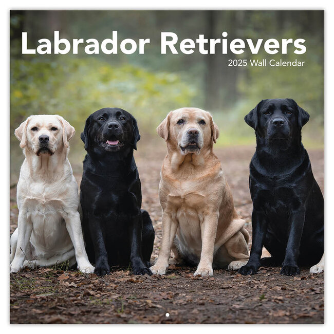 Calendario del Labrador Retriever 2025