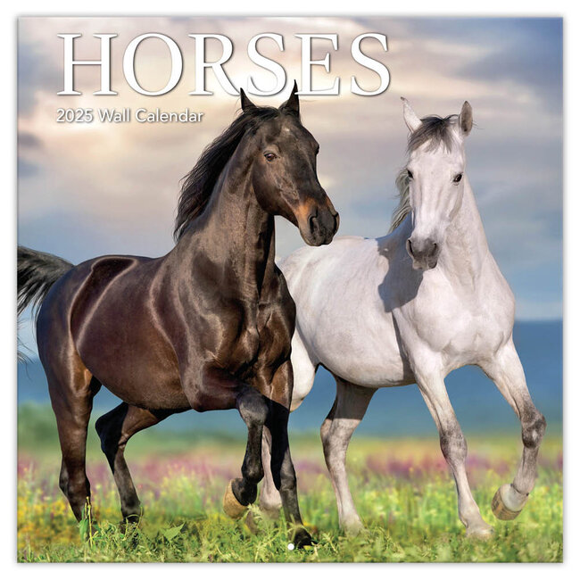 Horses Calendar 2025 TL Turner
