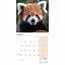 Calendario Panda Rosso 2025