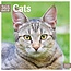 365 Day Cat Calendar 2025