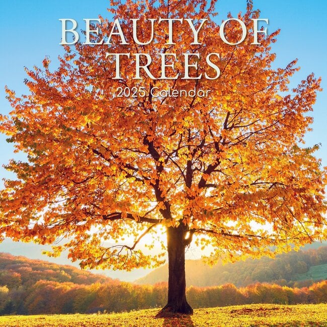 The Gifted Stationary Calendario Bellezza degli alberi 2025