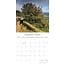 Beauty of Trees Calendar 2025