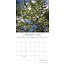 Calendario Bellezza degli alberi 2025