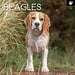 The Gifted Stationary Calendario Beagle 2025