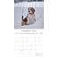 Beagle-Kalender 2025