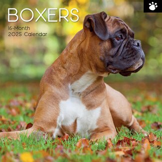 The Gifted Stationary Boxer Calendar 2025