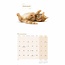 Cute Cats Kalender 2025