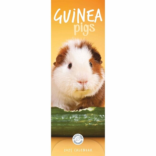 Cavia Kalender 2025 Slimline