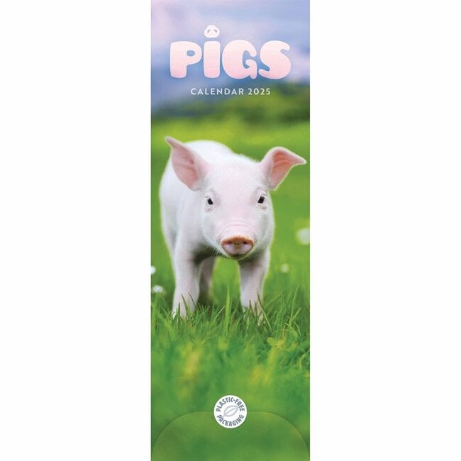 Pig Calendar Slimline 2025