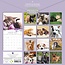 Cats and Dogs Calendar 2025