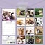 Cats and Dogs Kalender 2025