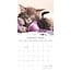 Cats and Dogs Calendar 2025