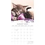 Katzen und Hunde Kalender 2025