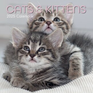 The Gifted Stationary Calendario Gatti e Gattini 2025