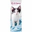 CarouselCalendars Kittens Kalender 2025 Slimline