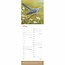 Robert Fuller British Wildlife Kalender 2025 Slimline