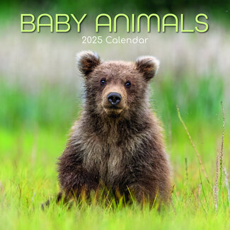 The Gifted Stationary Baby Animals Calendar 2025
