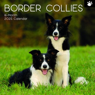 The Gifted Stationary Calendario Border Collie 2025