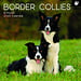 The Gifted Stationary Calendario Border Collie 2025