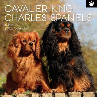 The Gifted Stationary Calendario Cavalier King Charles Spaniel 2025