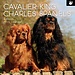 The Gifted Stationary Cavalier King Charles Spaniel Calendario 2025