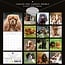 Cavalier King Charles Spaniel Calendar 2025