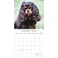 Calendrier Cavalier King Charles Spaniel 2025