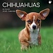 The Gifted Stationary Calendario Chihuahua 2025
