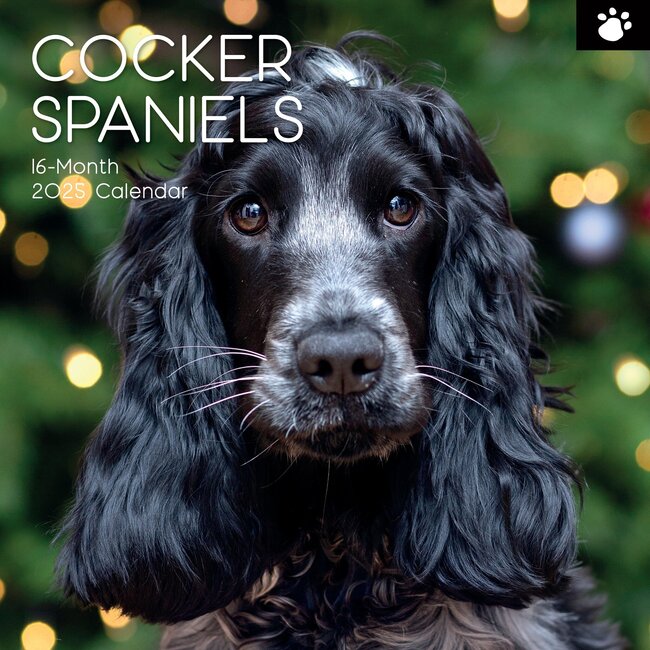 Engelse Cocker Spaniel Kalender 2025