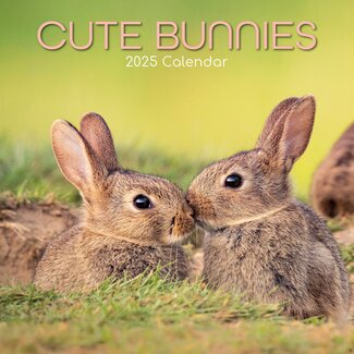 The Gifted Stationary Cute Bunnies Calendar 2025