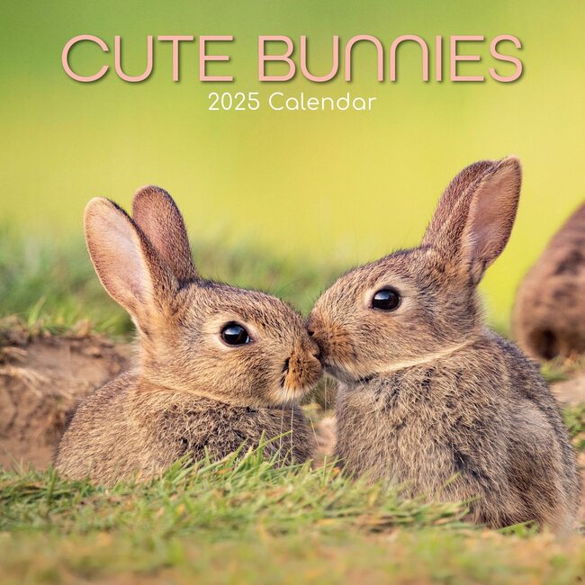 The Gifted Stationary Cute Bunnies Kalender 2025