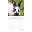 Cute Bunnies Calendar 2025