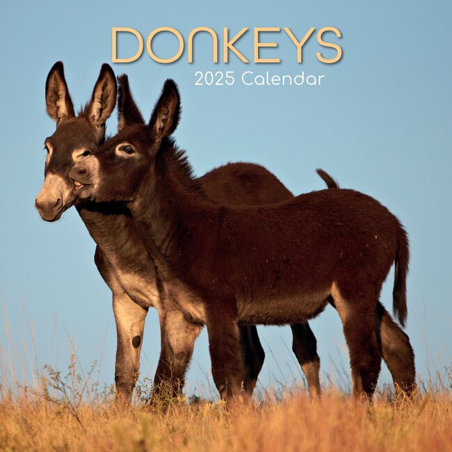 The Gifted Stationary Donkey Calendar 2025
