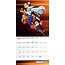 Calendario di Dragon Ball Z 2025