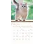 Calendario Cat Lovers 2025