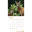 Calendario 2025 del Park de Hoge Veluwe