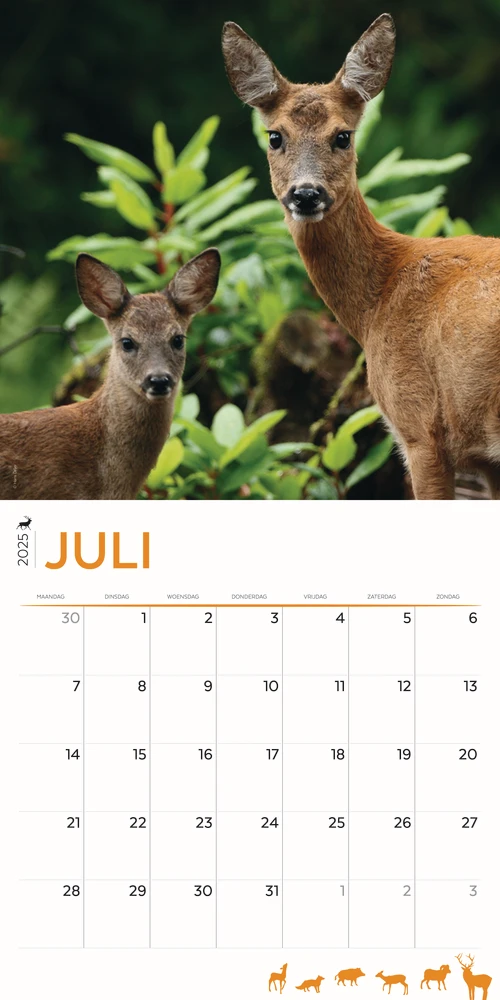 Buying the Hoge Veluwe Calendar 2025? Order online