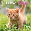 I Love Kittens Calendar 2025