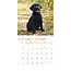 Labrador Retriever-Welpen Kalender 2025