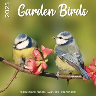 Plenty Gifts Calendrier des oiseaux de jardin 2025